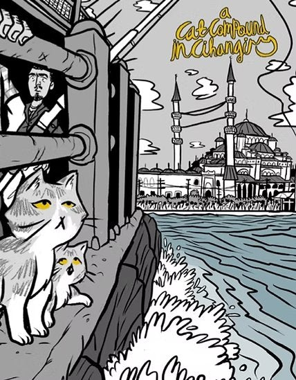 A Cat Compound in Cihangir