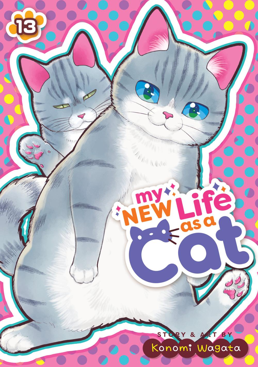 MY NEW LIFE AS A CAT TP VOL 13
