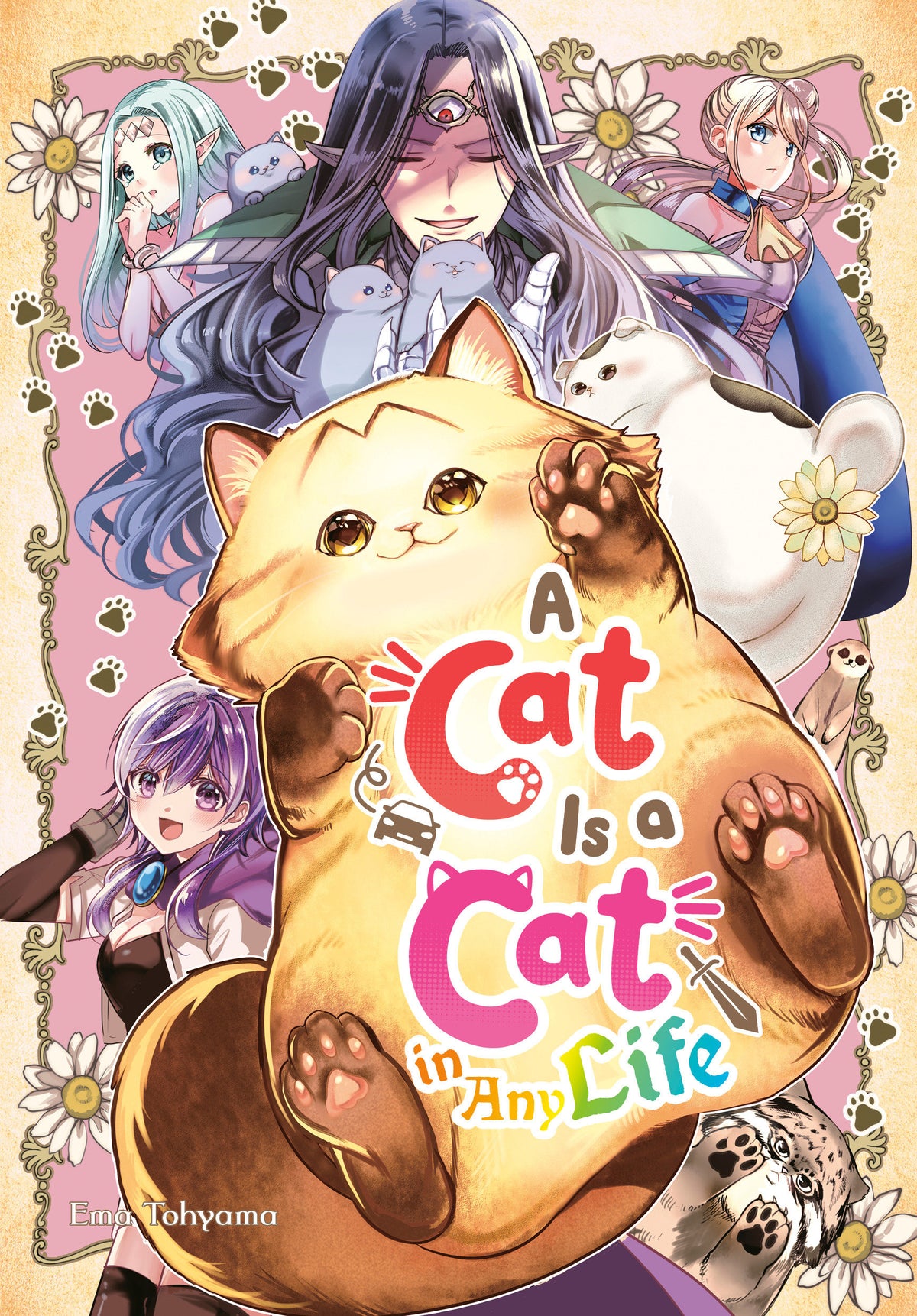 A CAT IS A CAT IN ANY LIFE