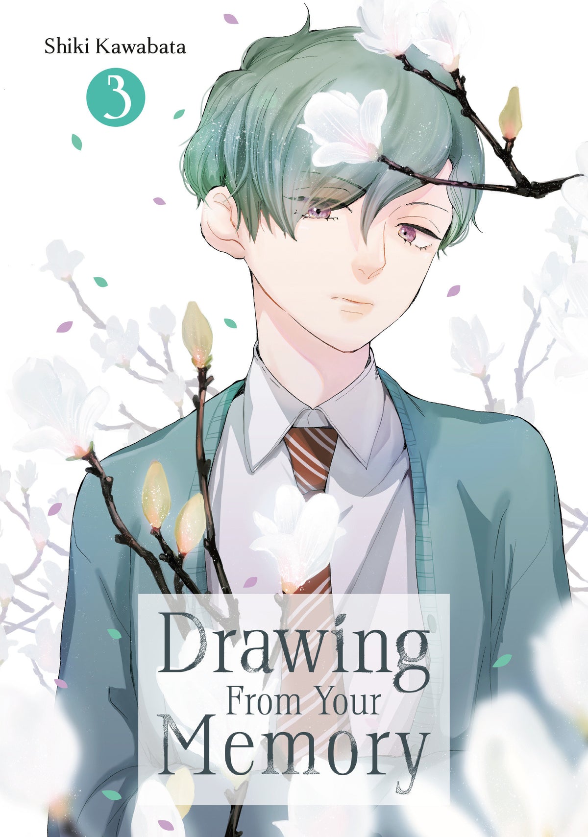 DRAWING FROM YOUR MEMORY TP VOL 03