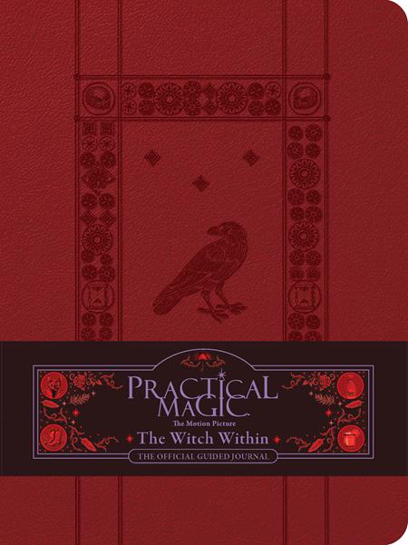 PRACTICAL MAGIC THE MOTION PICTURE HC THE WITCH WITHIN THE OFFICIAL GUIDED JOURNAL