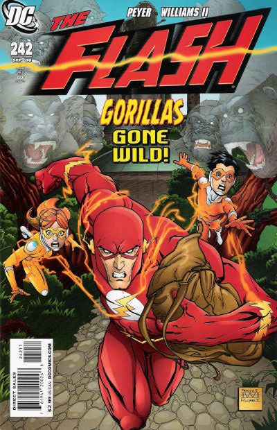 The Flash 2007 #242 - back issue - $10.00