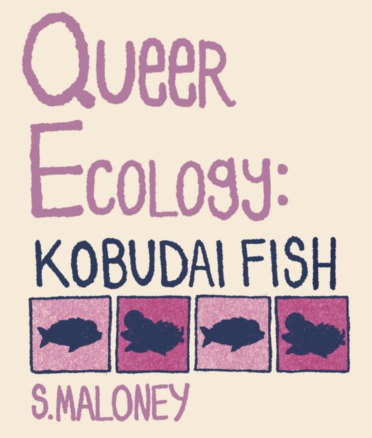 Queer Ecology: Kobudai Fish