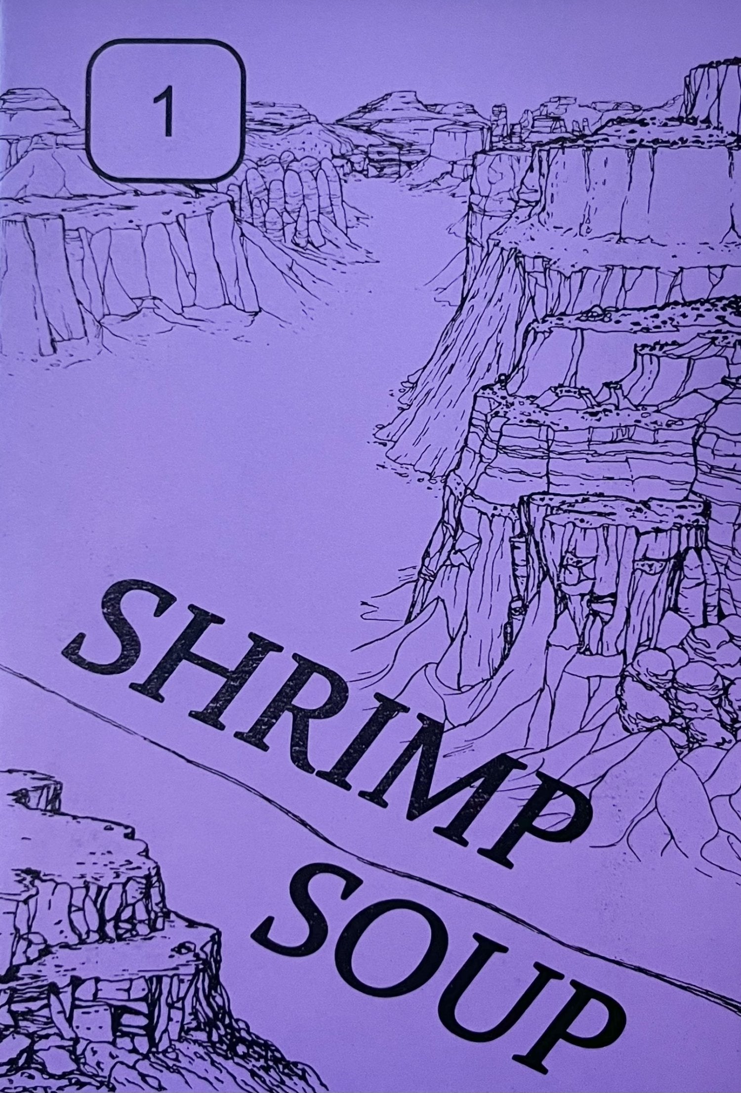 Shrimp Soup #1