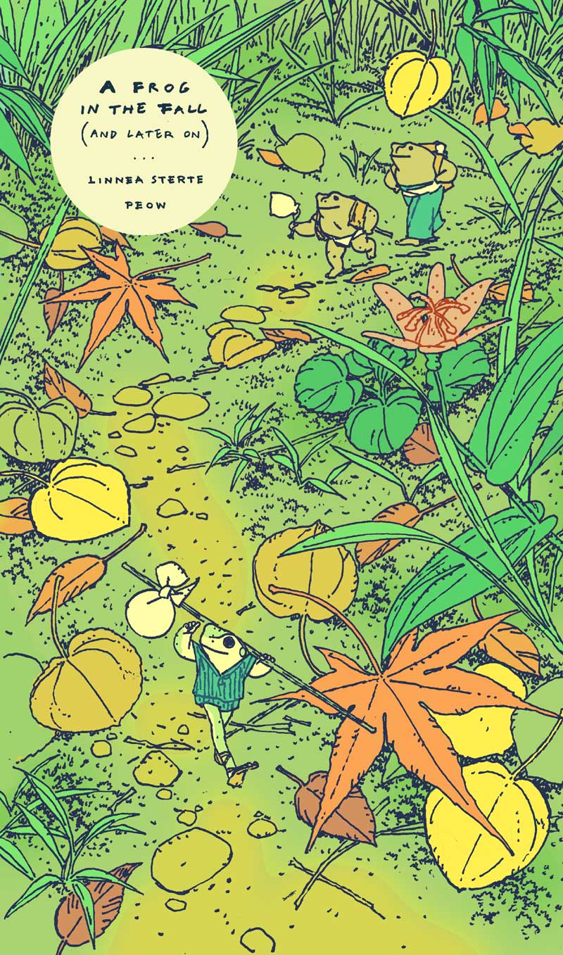 A Frog in The Fall