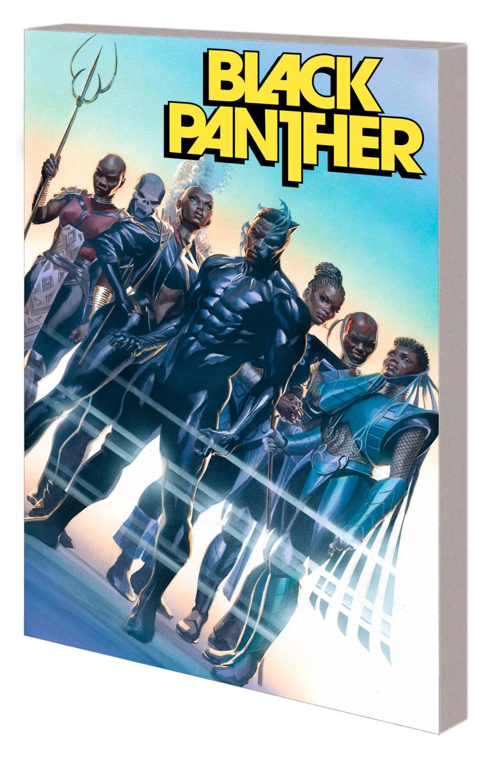 BLACK PANTHER BY JOHN RIDLEY VOL 2 RANGE WARS TP