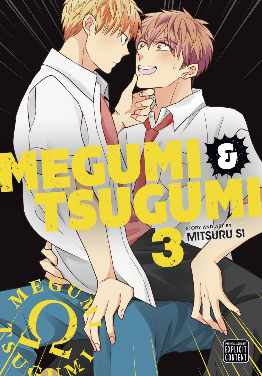 MEGUMI AND TSUGUMI GN VOL 03