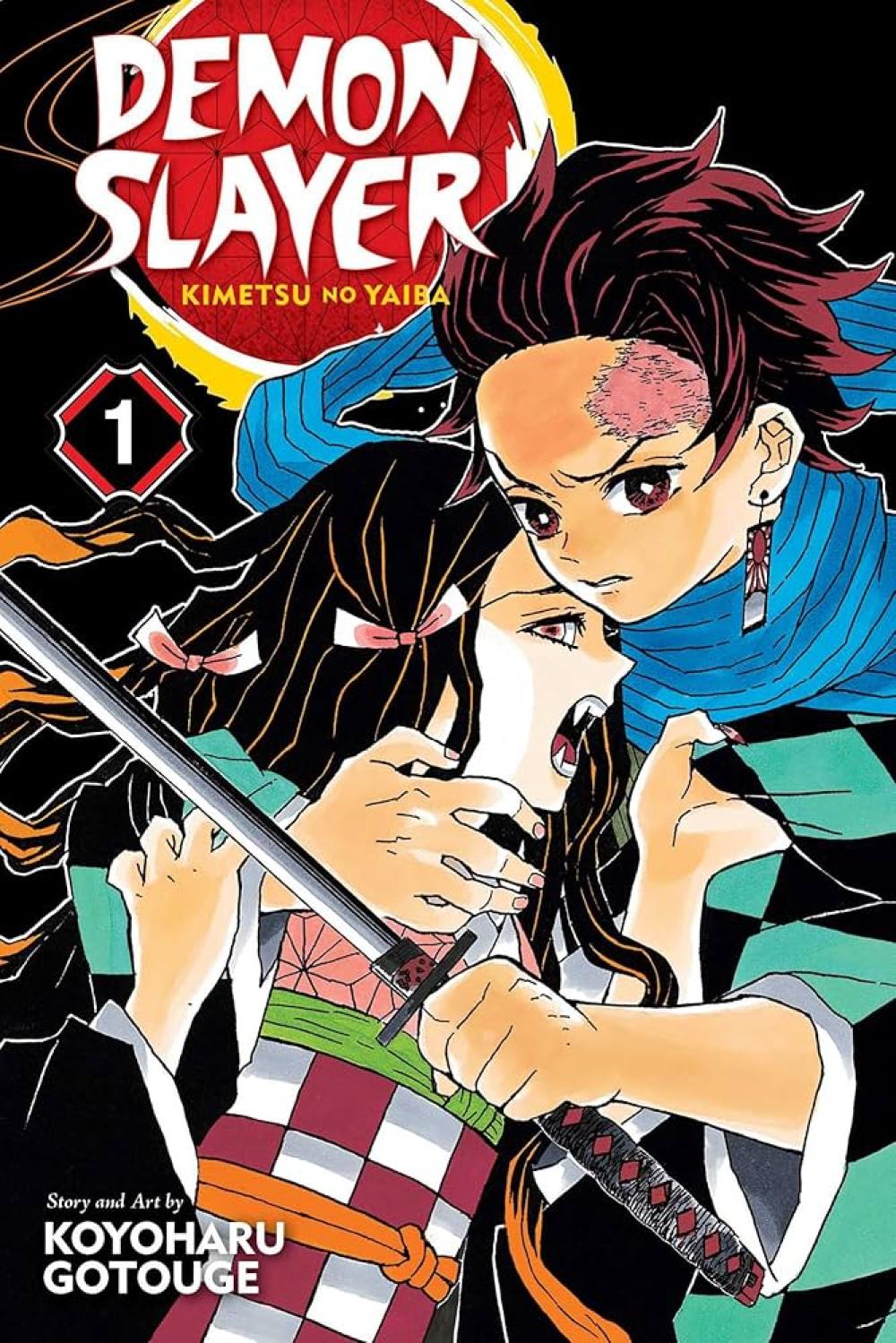 DEMON SLAYER KIMETSU NO YAIBA GN VOL 01