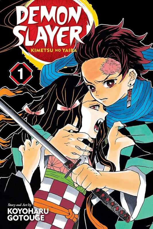 DEMON SLAYER KIMETSU NO YAIBA GN VOL 01
