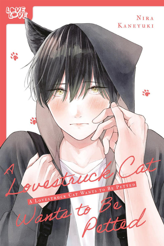 A LOVESTRUCK CAT WANTS TO BE PETTED