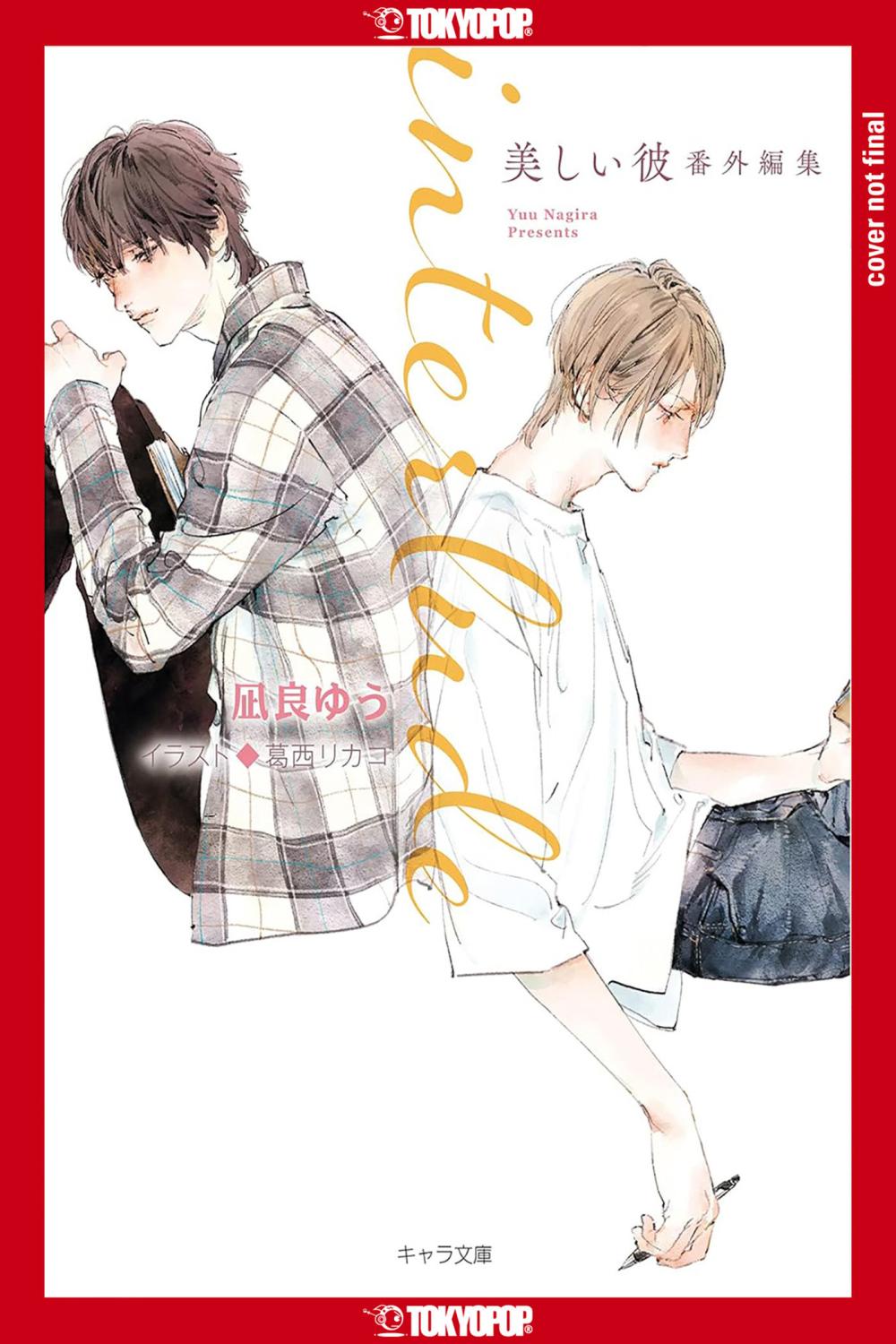 MY BEAUTIFUL MAN INTERLUDE LIGHT NOVEL TP