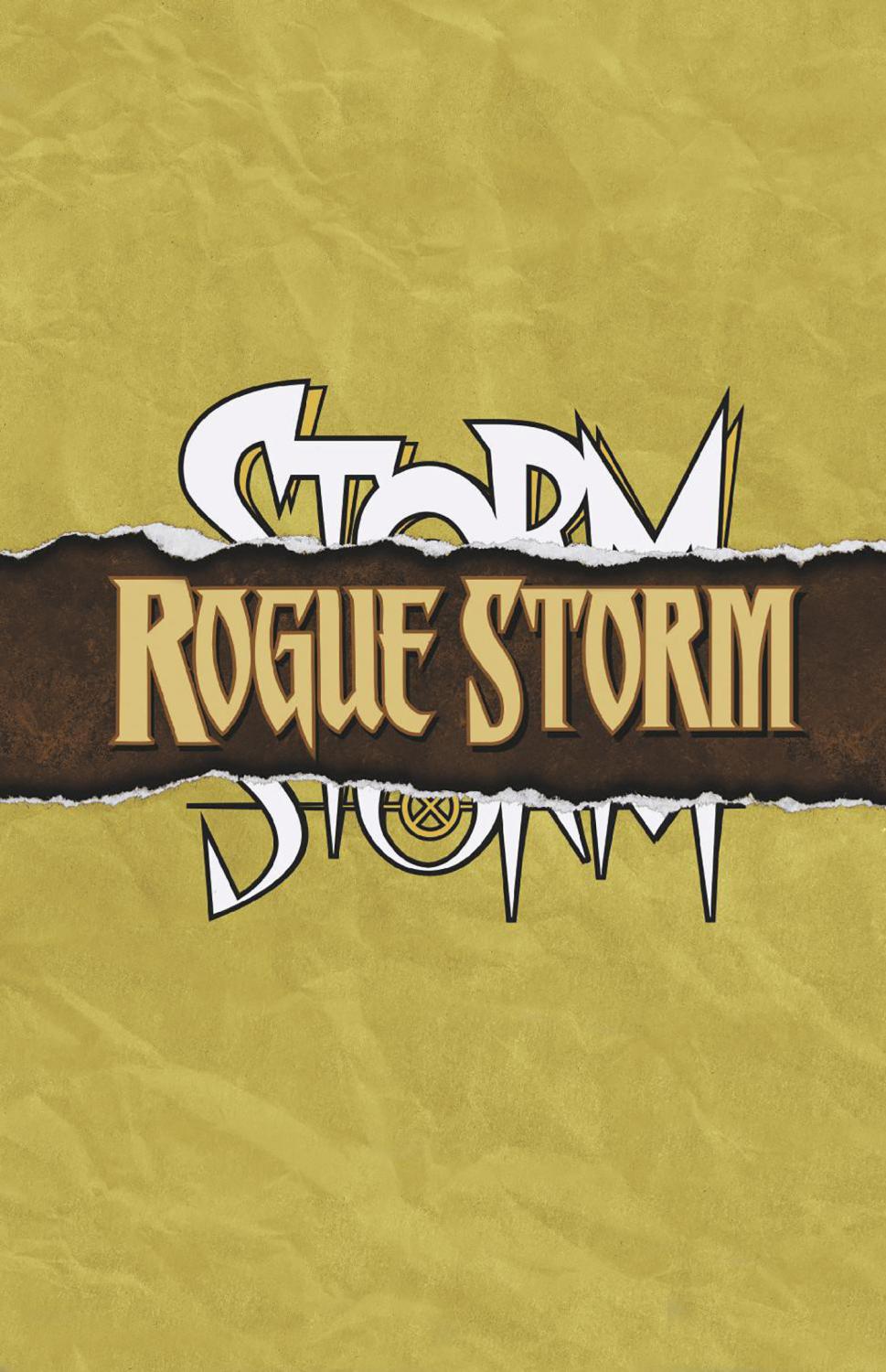 STORM #12 FORESHADOW LOGO VAR CVR B
