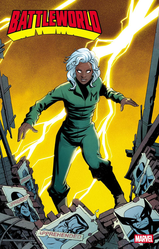 BATTLEWORLD #5 MIKE MCKONE DAYS OF FUTURE PAST VAR CVR D