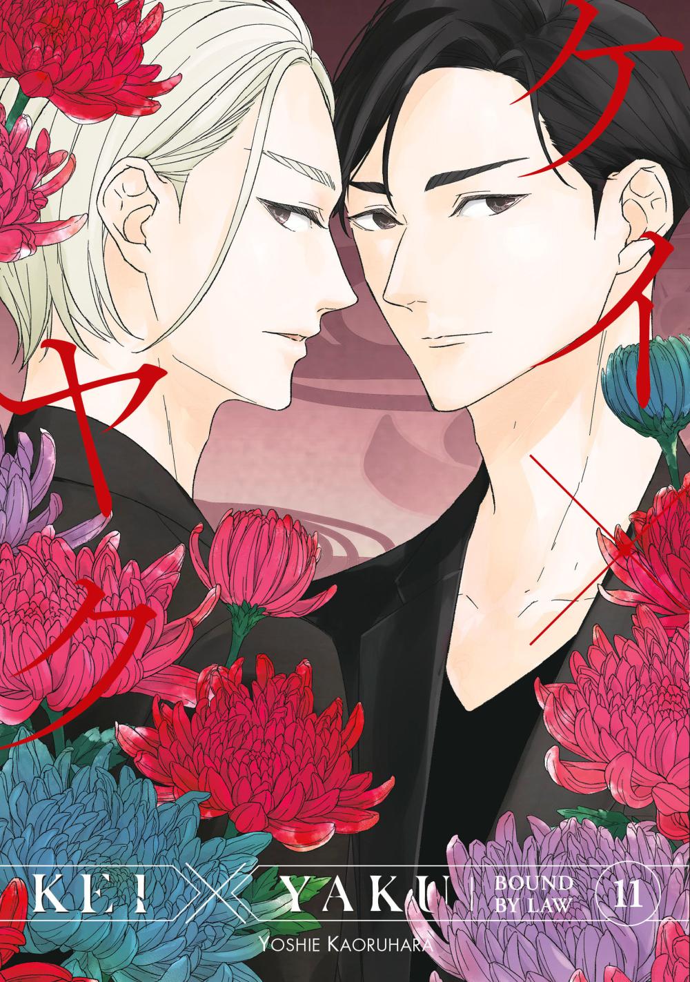 KEI X YAKU BOUND BY LAW 11