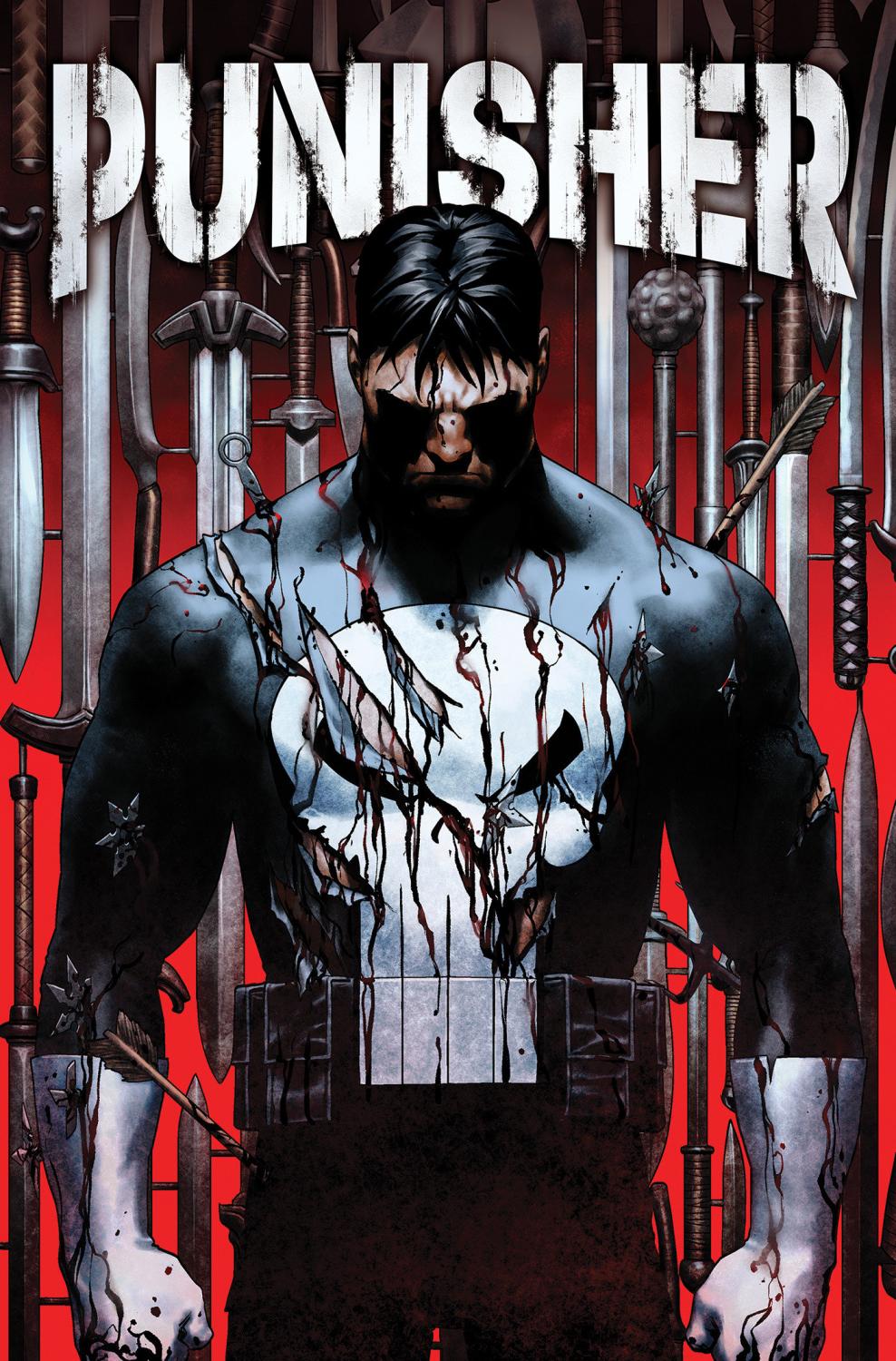 PUNISHER TP VOL 01