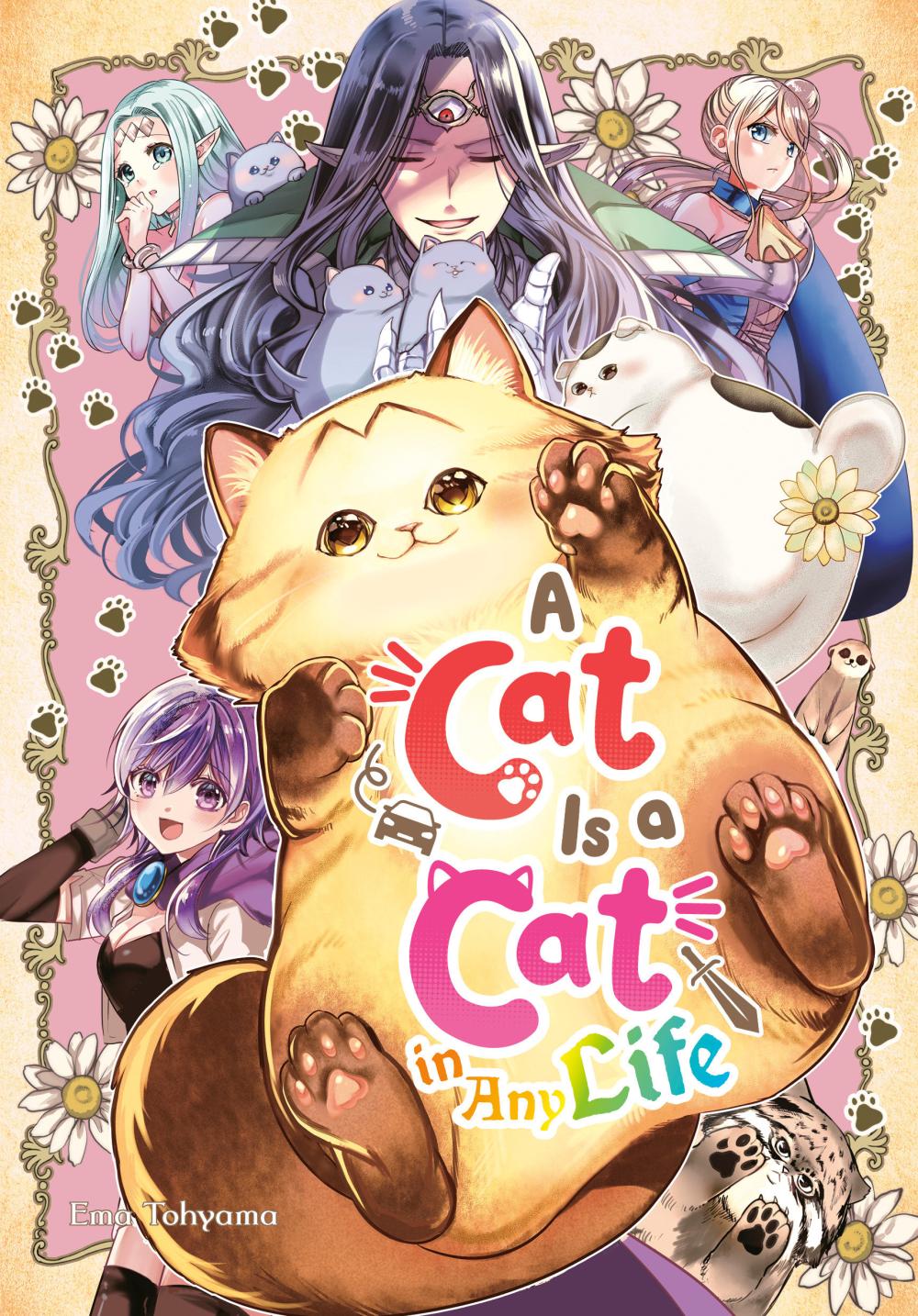 A CAT IS A CAT IN ANY LIFE