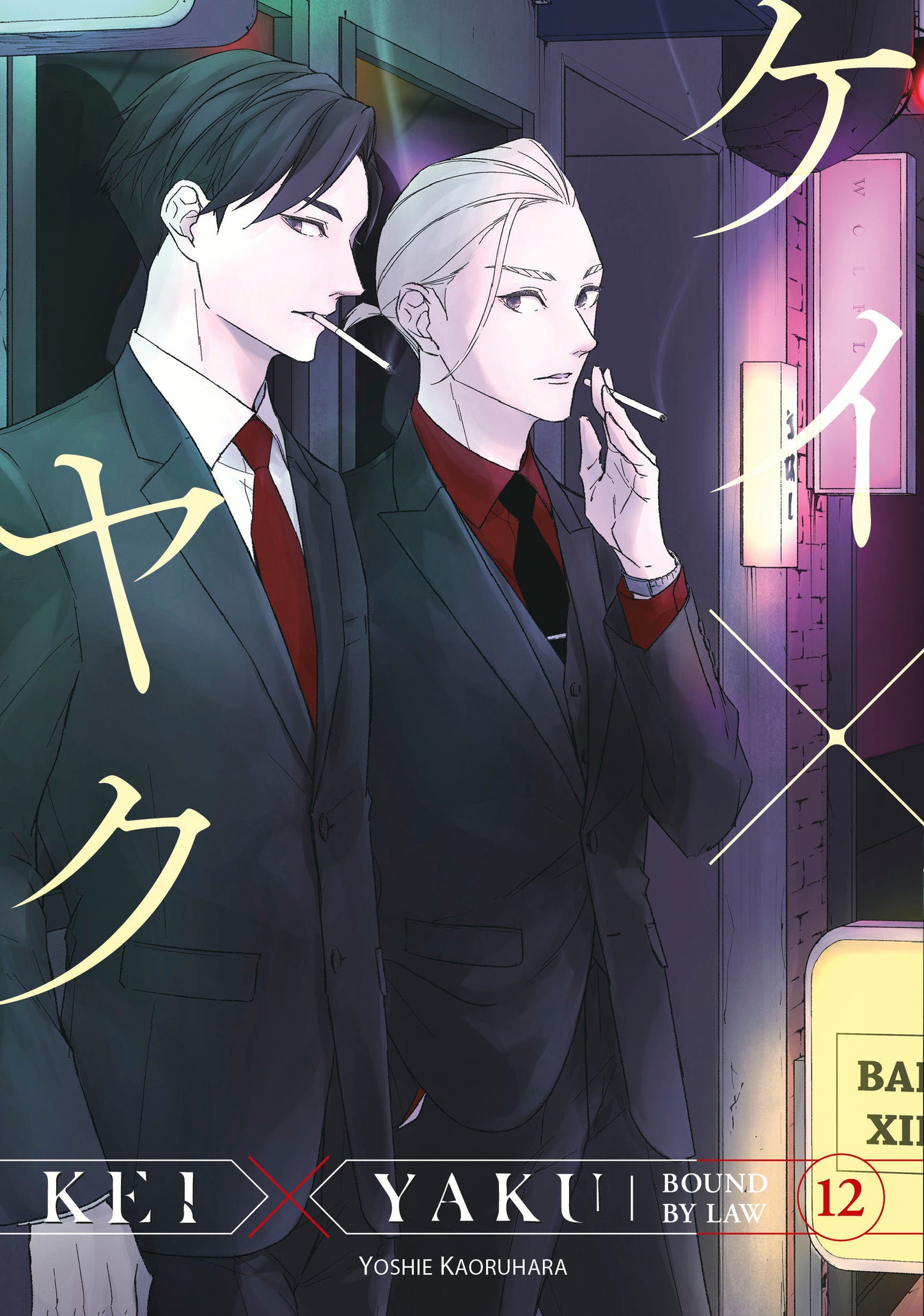 KEI X YAKU BOUND BY LAW TP VOL 12