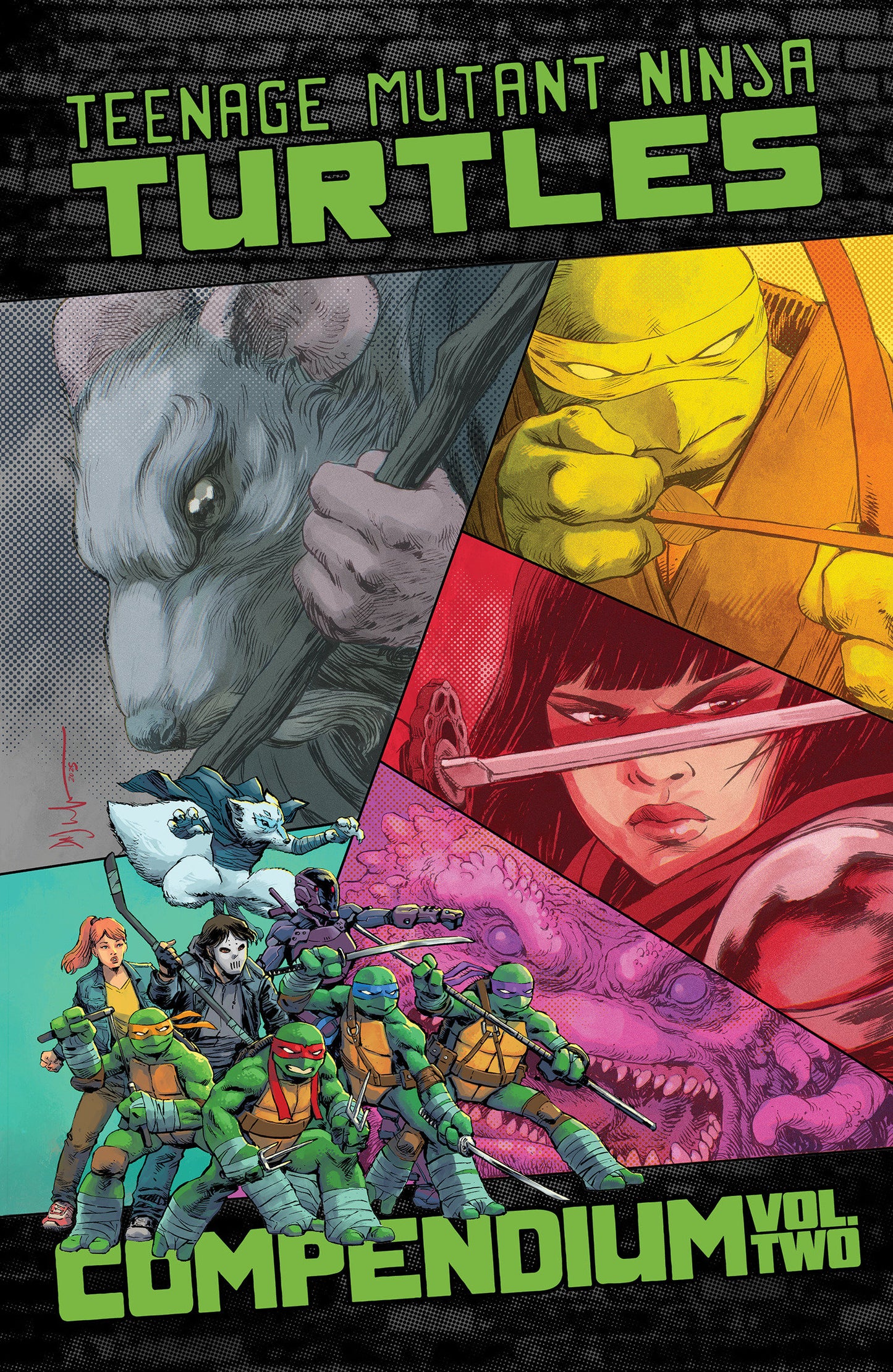 TEENAGE MUTANT NINJA TURTLES ONGOING COMPENDIUM VOL 2 TP