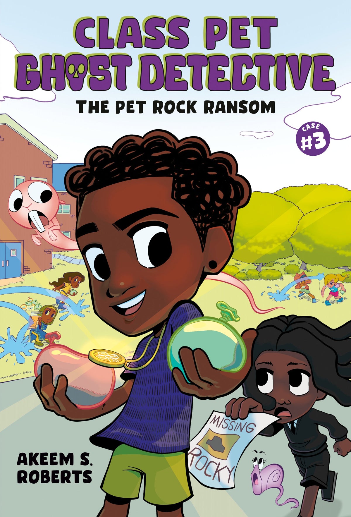 THE PET ROCK RANSOM A GRAPHIC NOVEL