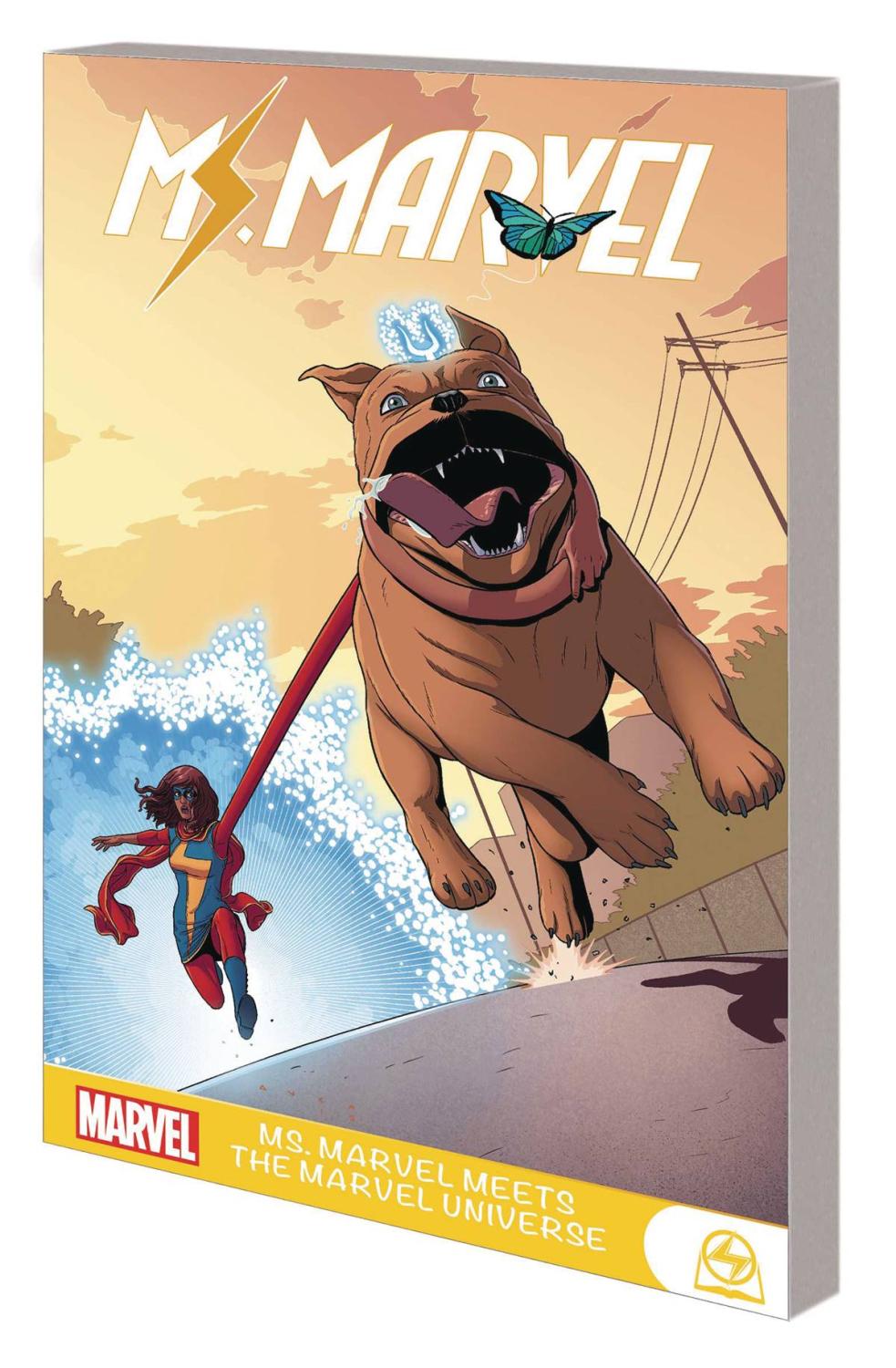 MS MARVEL MEETS MARVEL UNIVERSE GN TP