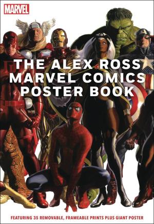 ALEX ROSS MARVEL COMICS POSTER BOOK TP